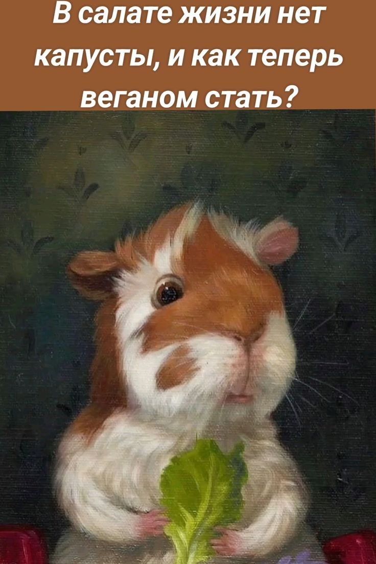 В салате жизни нет капусты, и как теперь веганом стать?