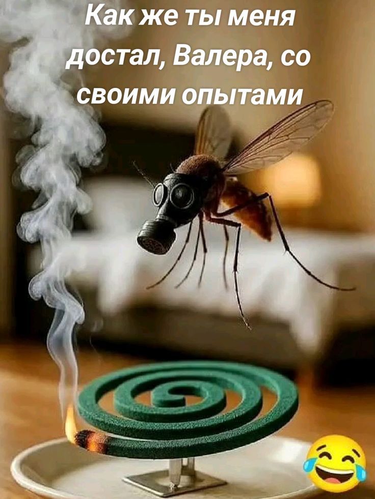Как же ты меня достал, Валера, со своими опытами