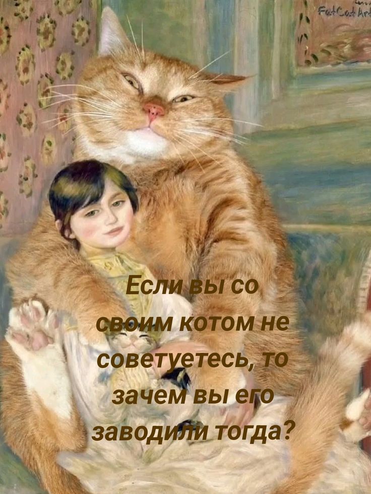 Если вы со своим котом не советуетесь, то зачем вы его заводили тогда?