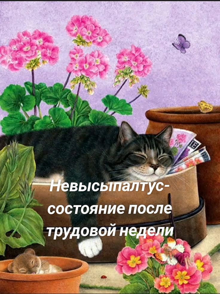 Невысыпалюсь-состояние после трудовой недели