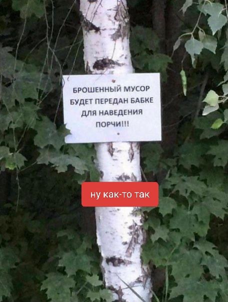 БРОШЕННЫЙ МУСОР БУДЕТ ПЕРЕДАН БАБКЕ ДЛЯ НАВЕДЕНИЯ ПОРЧИ!!!
ну как-то так
