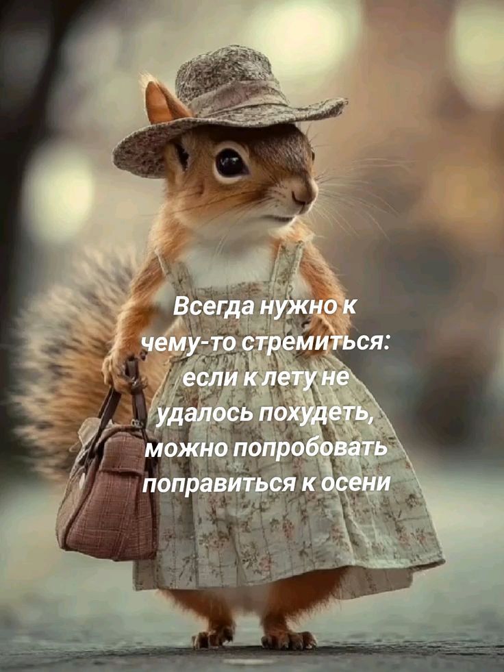 Всегда нужно к чему-то стремиться: если к лету не удалось похудеть, можно попробовать поправиться к осени