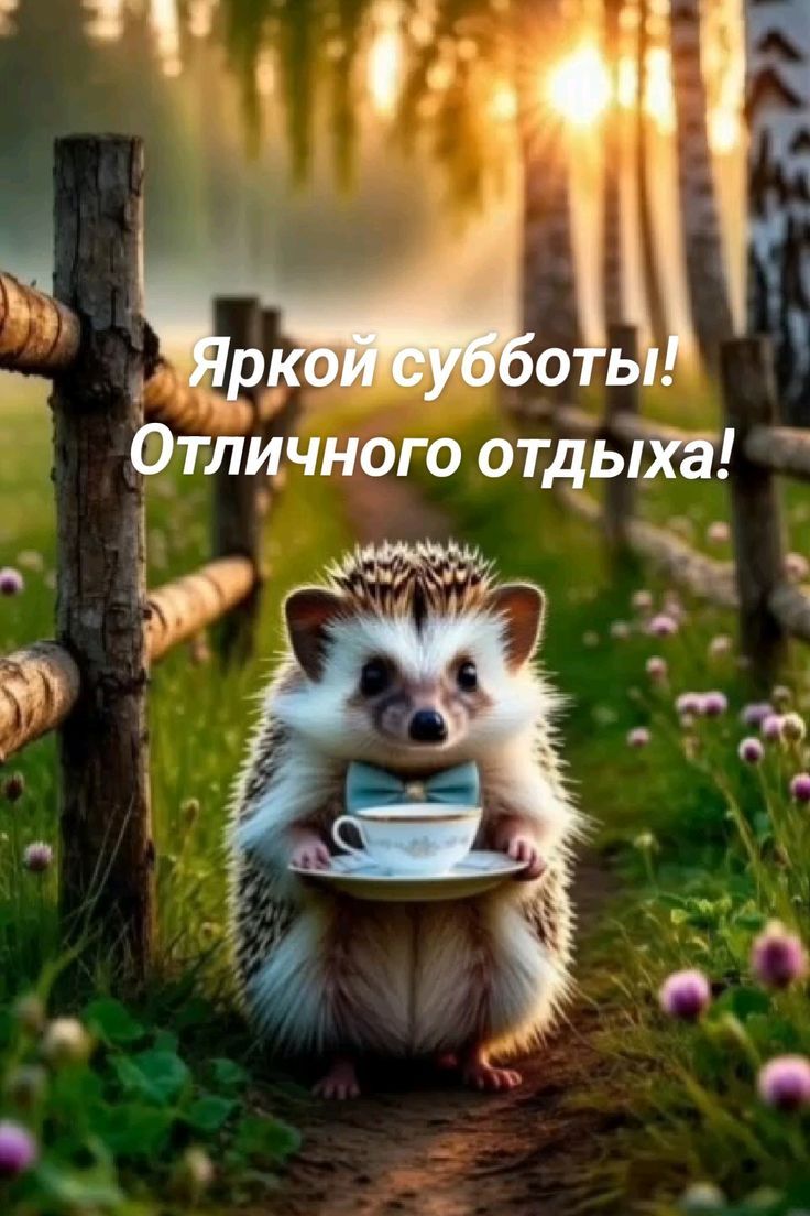 Яркой субботы! Отличного отдыха!