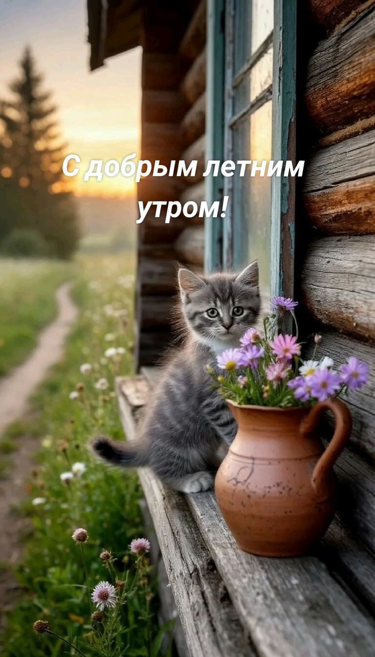 С добрым летним утром!