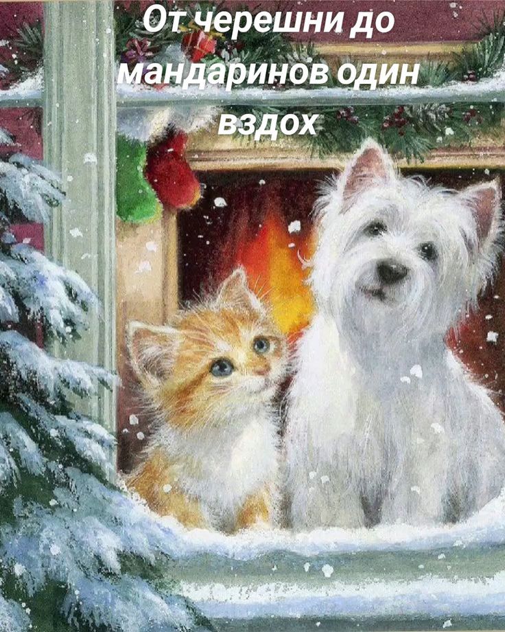 От черешни до мандаринов один вздох