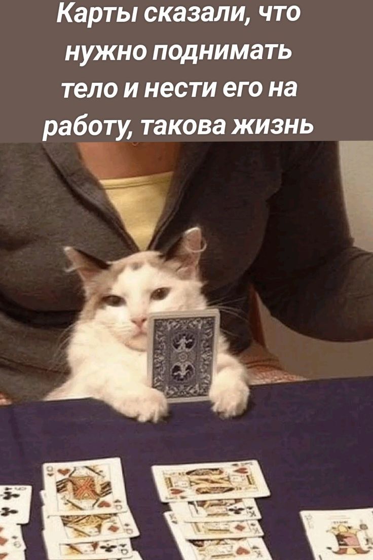 Карты сказали, что нужно поднимать тело и нести его на работу, такова жизнь