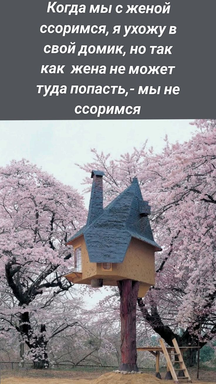 Когда мы с женой ссоримся, я ухожу в свой домик, но так как жена не может туда попасть,- мы не ссоримся
