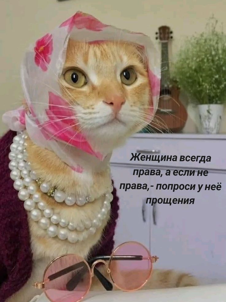Женщина всегда права, а если не права, - попроси у неё прощения