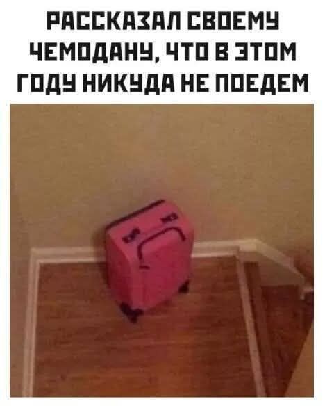 РАССКАЗАЛ СВОЕМУ ЧЕМОДАНУ, ЧТО В ЭТОМ ГОДУ НИКУДА НЕ ПОЕДЕМ