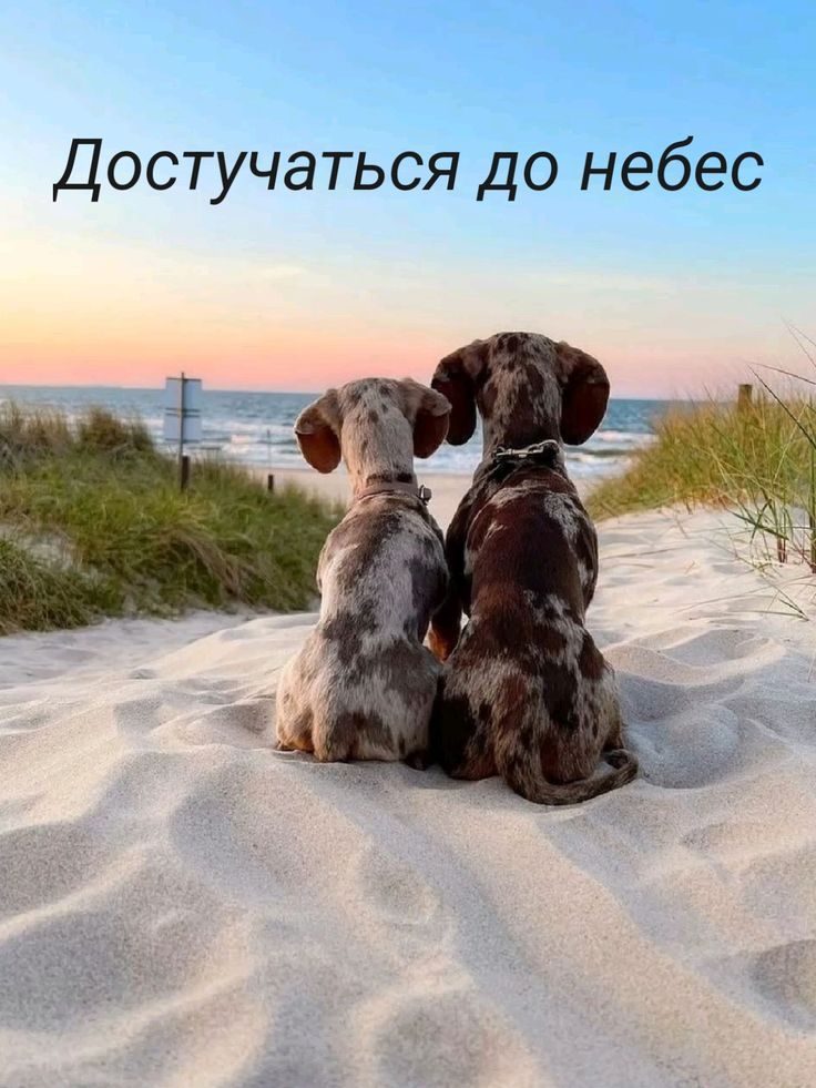 Достучаться до небес