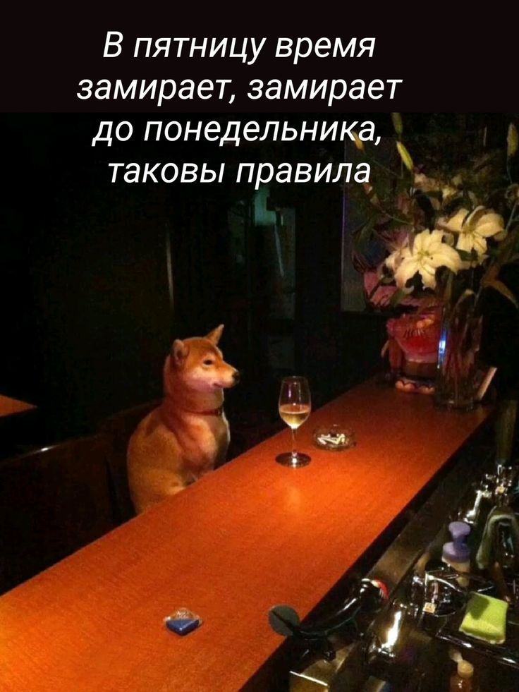 В пятницу время замирает, замирает до понедельника, таковы правила