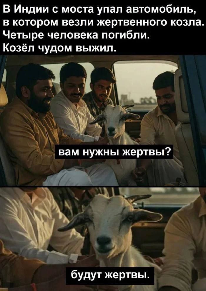 В Индии с моста упал автомобиль, в котором везли жертвенного козла. Четыре человека погибли. Козёл чудом выжил.
вам нужны жертвы?
будут жертвы.