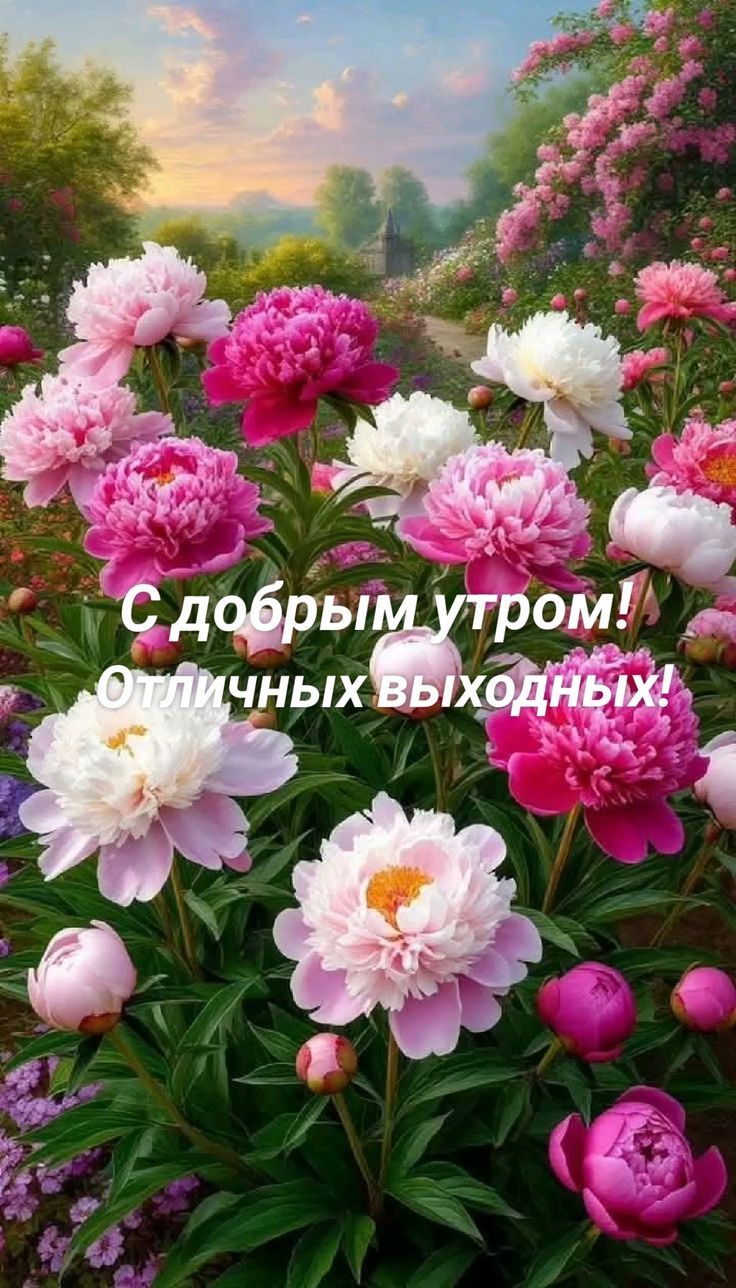 С добрым утром! Отличных выходных!