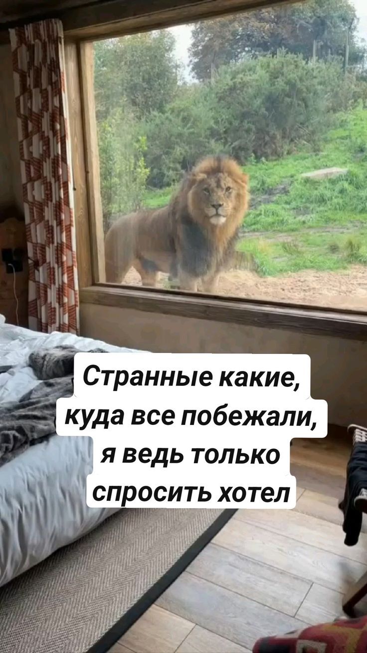 Странные какие, куда все побежали, я ведь только спросить хотел