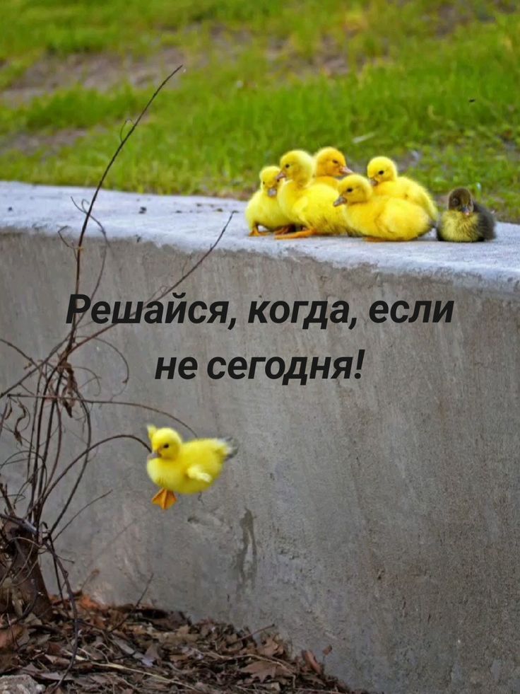 Решайся, когда, если не сегодня!