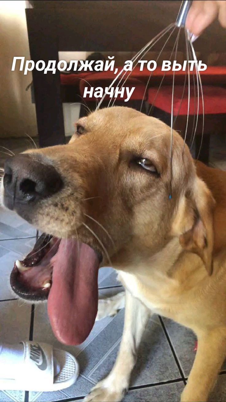 Продолжай, а то быть начну