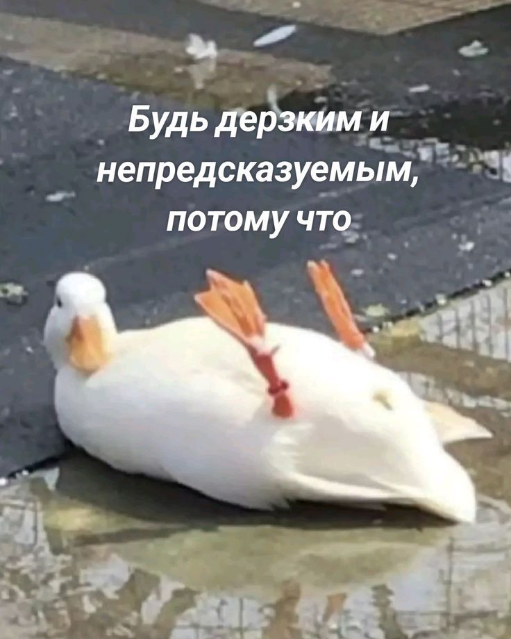 Будь дерзким и непредсказуемым, потому что