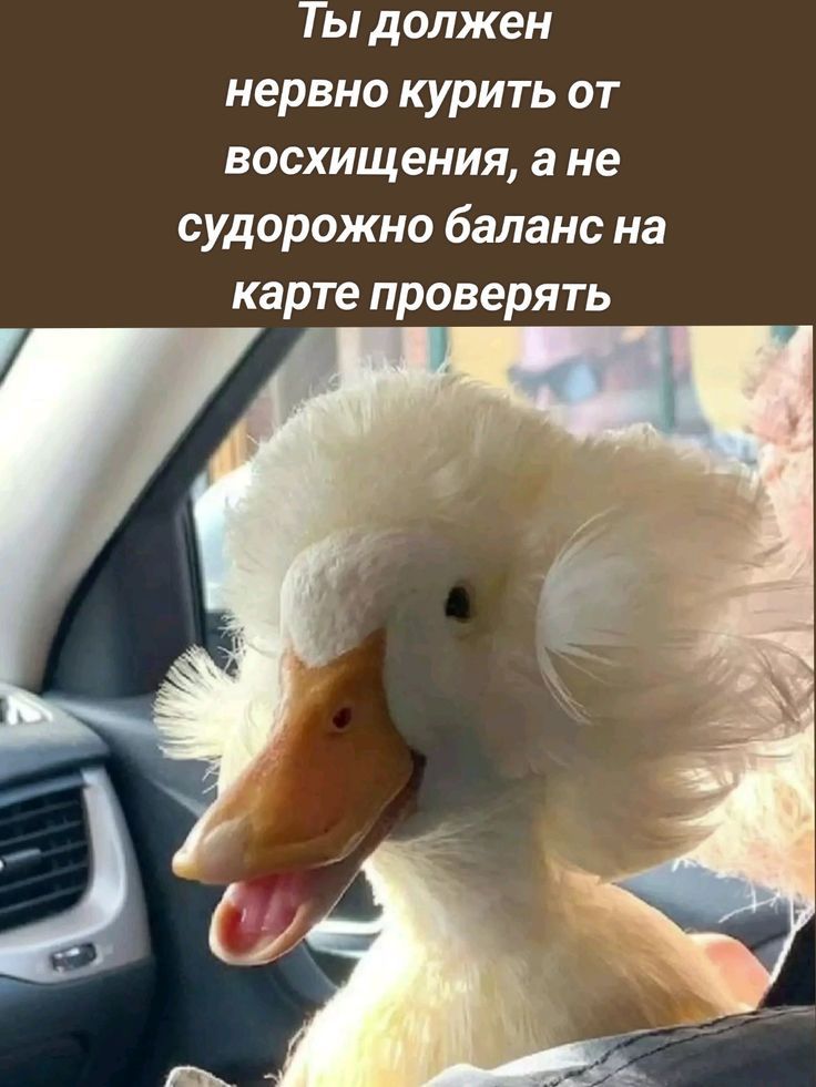 Ты должен нервно курить от восхищения, а не судорожно баланс на карте проверять