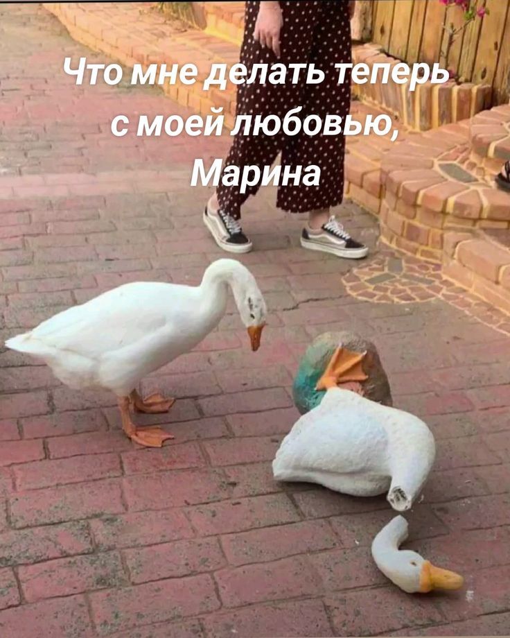 Что мне делать теперь с моей любовью, Марина