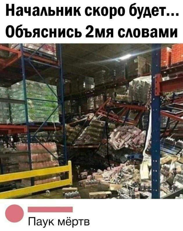 Начальник скоро будет... Объяснись 2мя словами
Паук мёртв