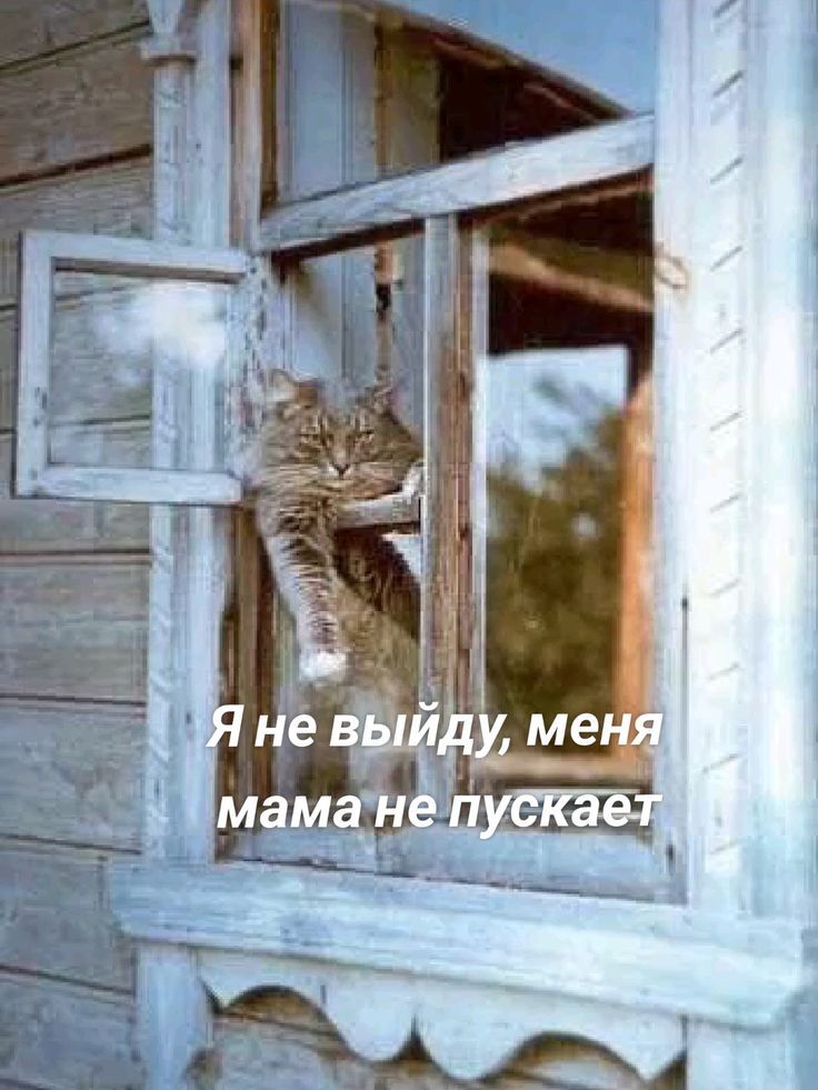 Я не выйду, меня мама не пускает
