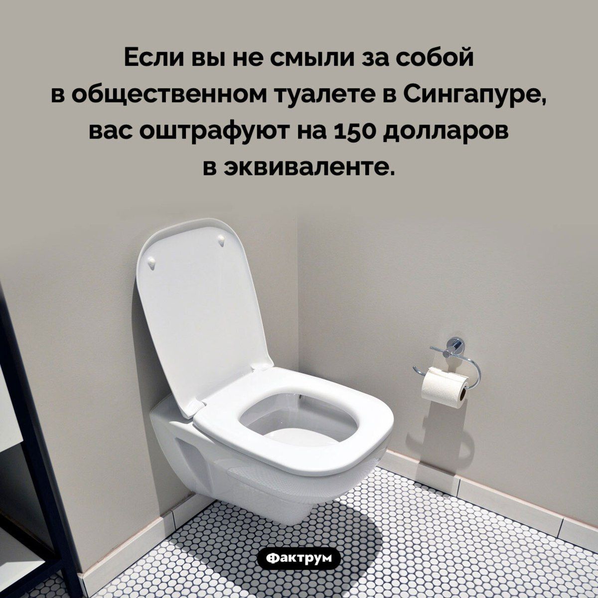 Если вы не смыли за собой в общественном туалете в Сингапуре, вас оштрафуют на 150 долларов в эквиваленте.