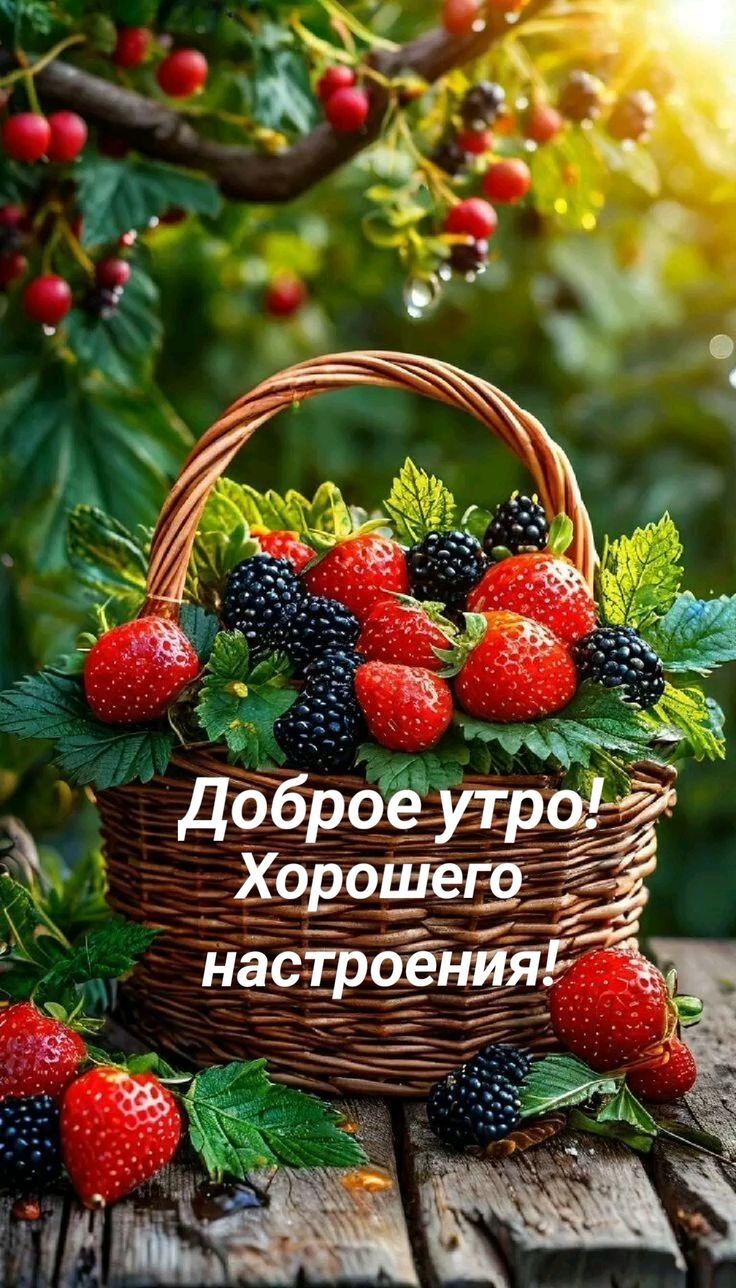 Доброе утро! Хорошего настроения!
