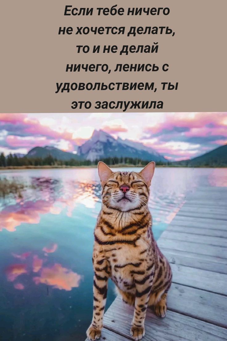 Если тебе ничего не хочется делать, то и не делай ничего, ленися с удовольствием, ты это заслужила