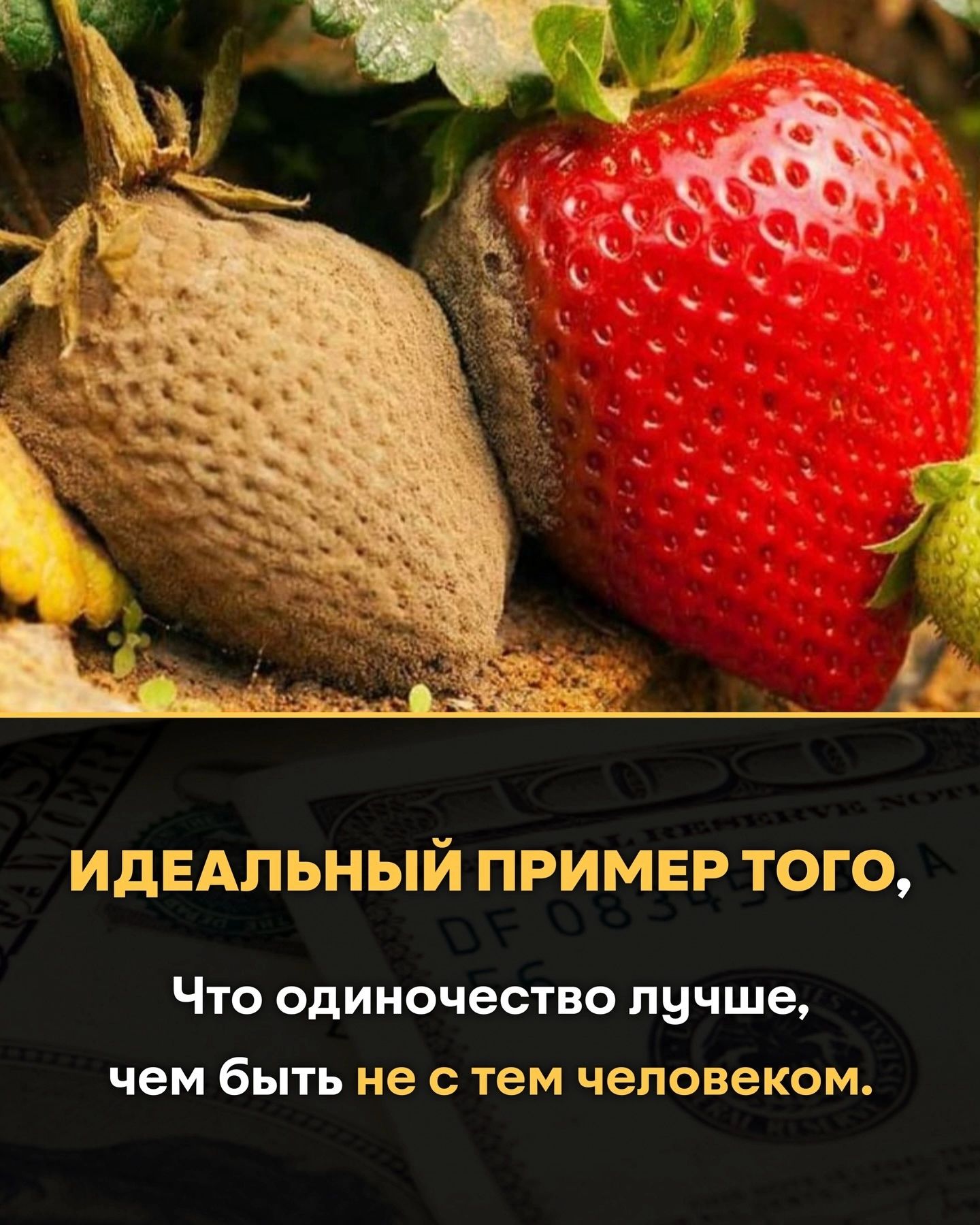 ИДЕАЛЬНЫЙ ПРИМЕР ТОГО,
Что одиночество лучше,
чем быть не с тем человеком.