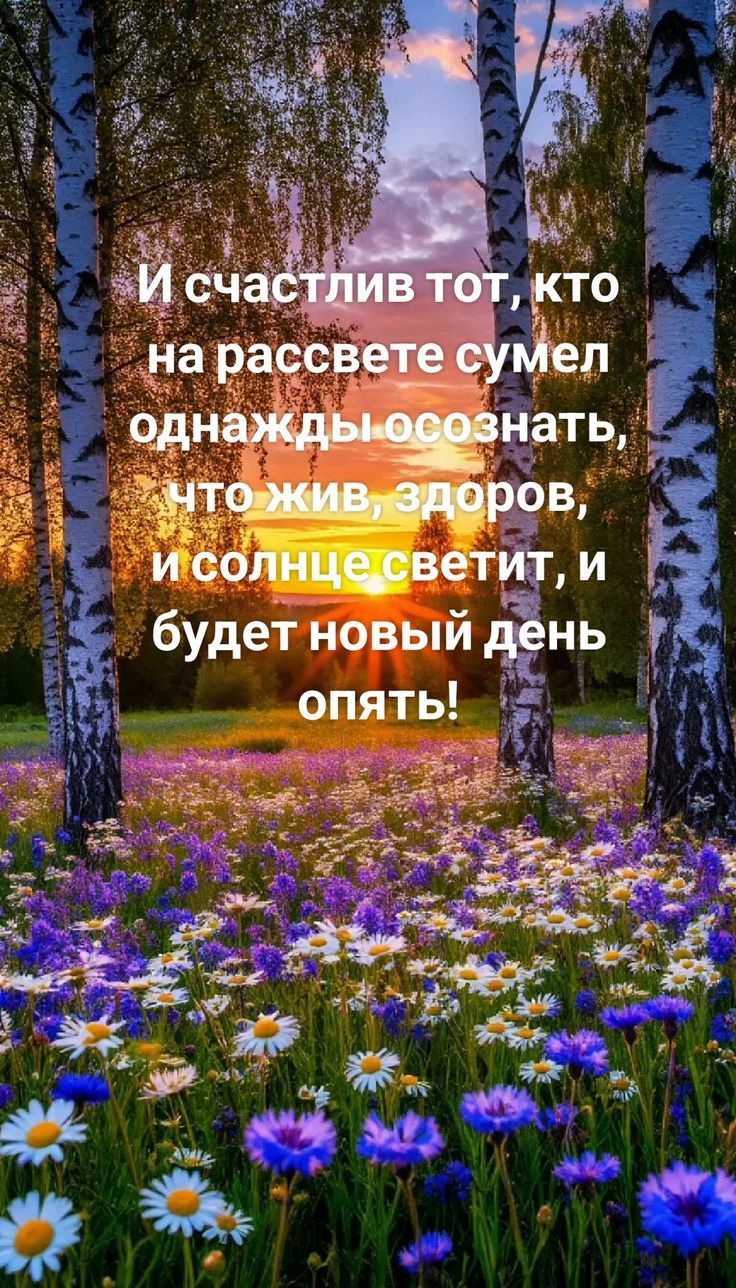 И счастлив тот, кто на рассвете сумел однажды осознать, что жив, здоров, и солнце светит, и будет новый день опять!