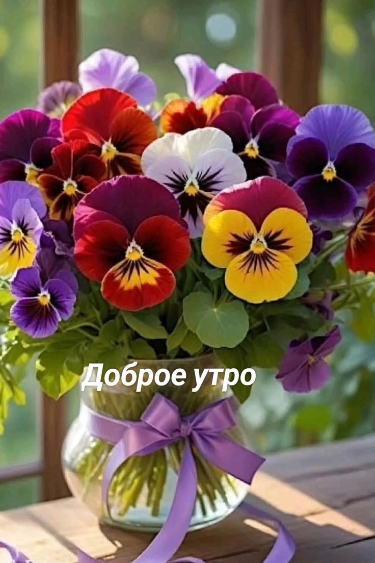 Доброе утро