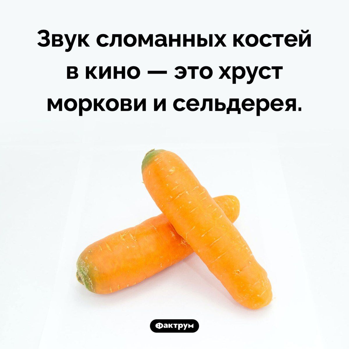 Звук сломанных костей в кино — это хруст моркови и сельдерея.