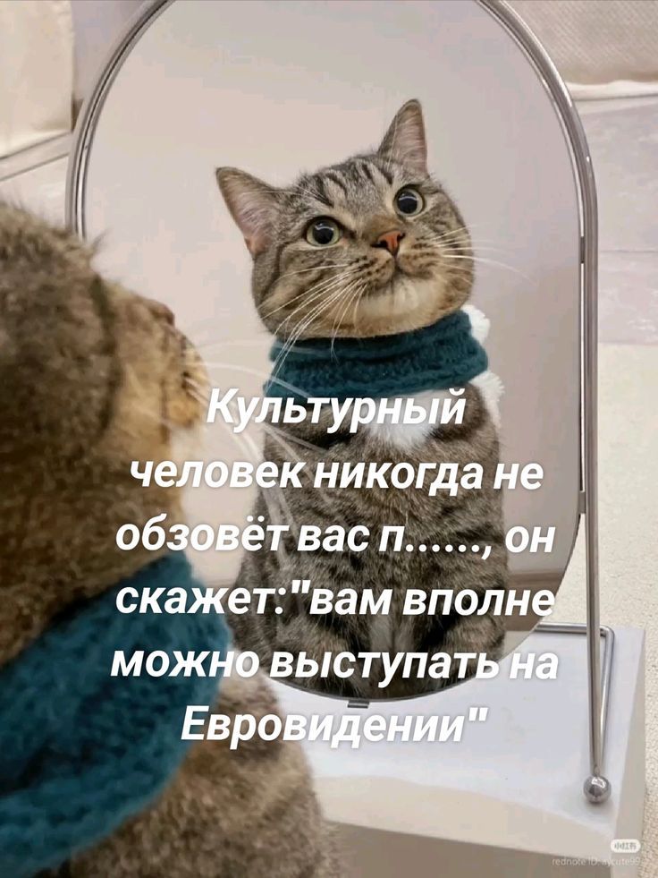 Культурный человек никогда не обозвёт вас п...... он скажет: