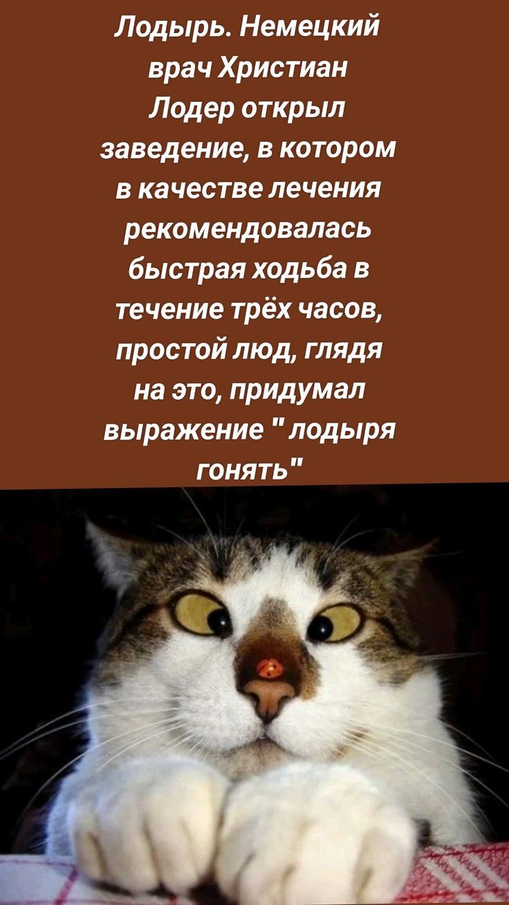 Лодырь. Немецкий врач Христиан Лодер открыл заведение, в котором в качестве лечения рекомендовалась быстрая ходьба в течение трёх часов, простой люд, глядя на это, придумал выражение 