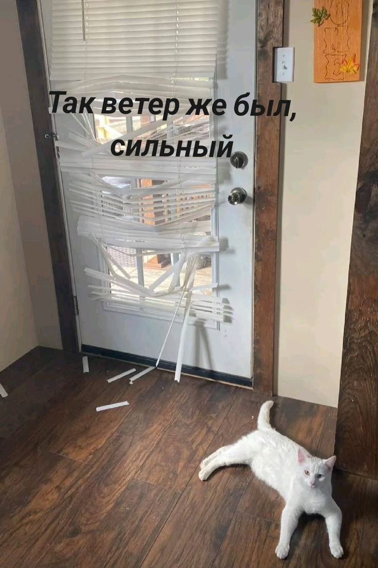 Так ветер же был, сильный