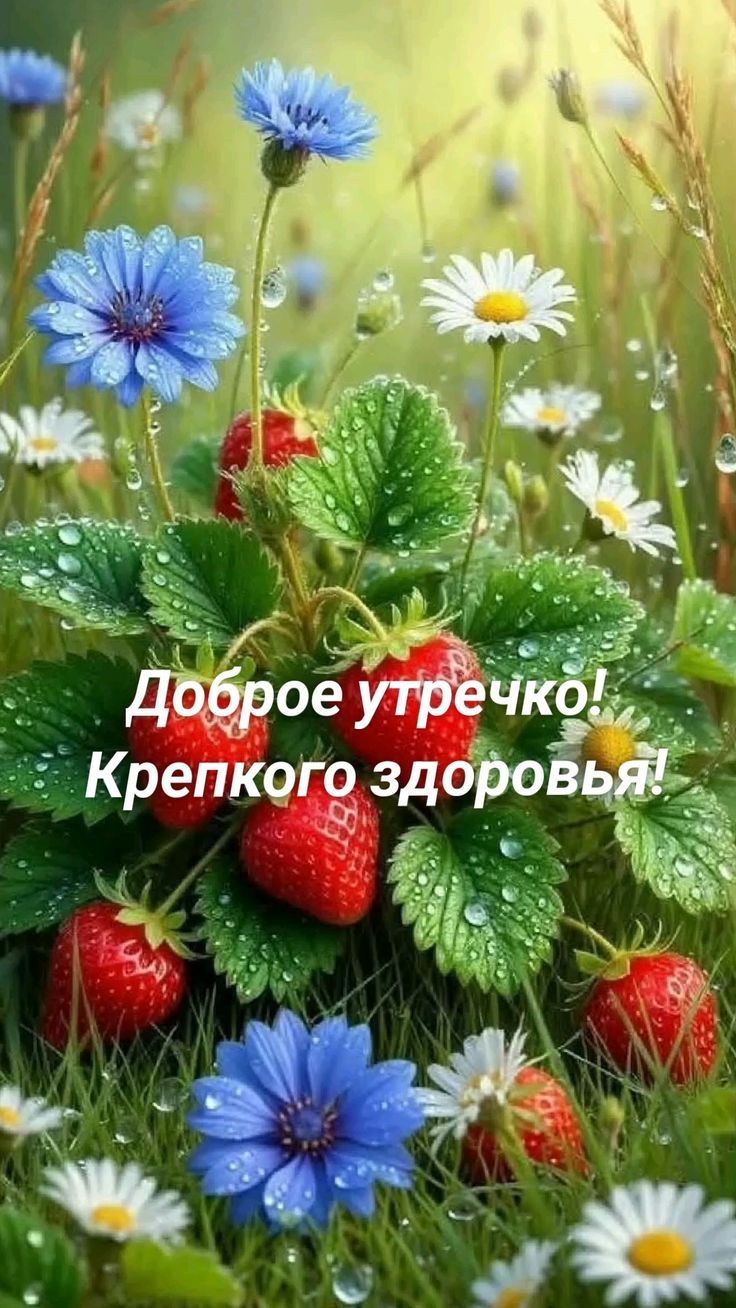 Доброе утречко! Крепкого здоровья!
