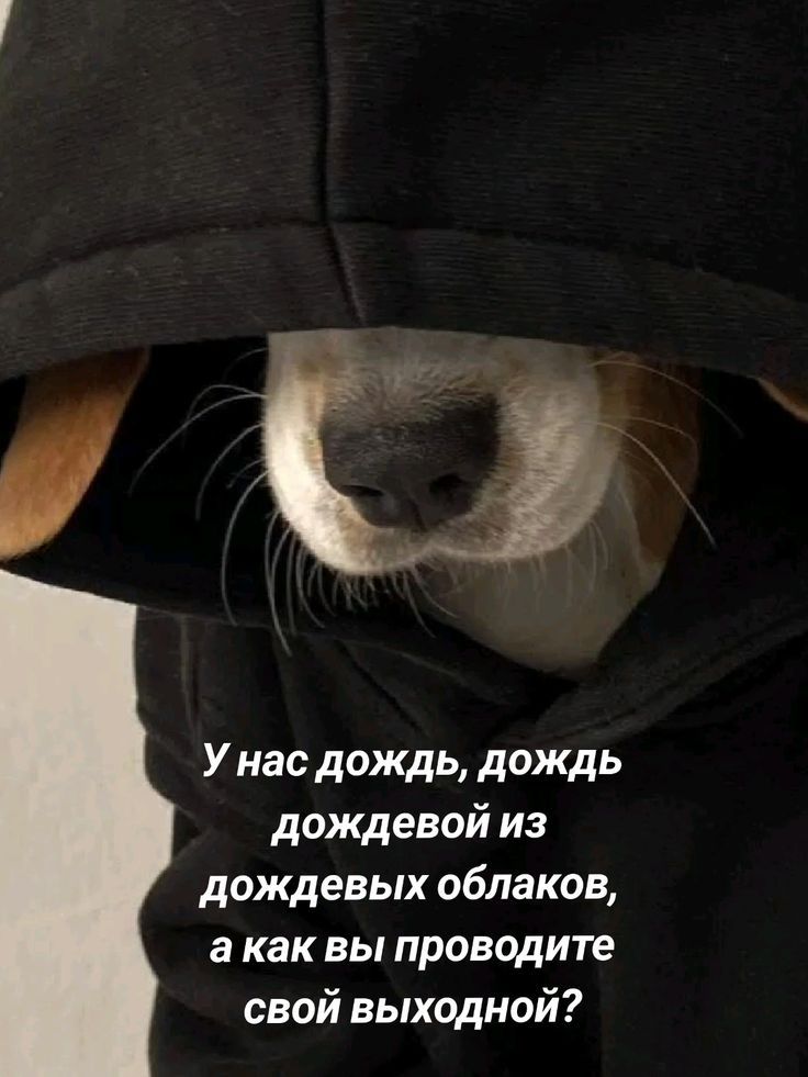 У нас дождь, дождь дождевой из дождевых облаков, а как вы проводите свой выходной?
