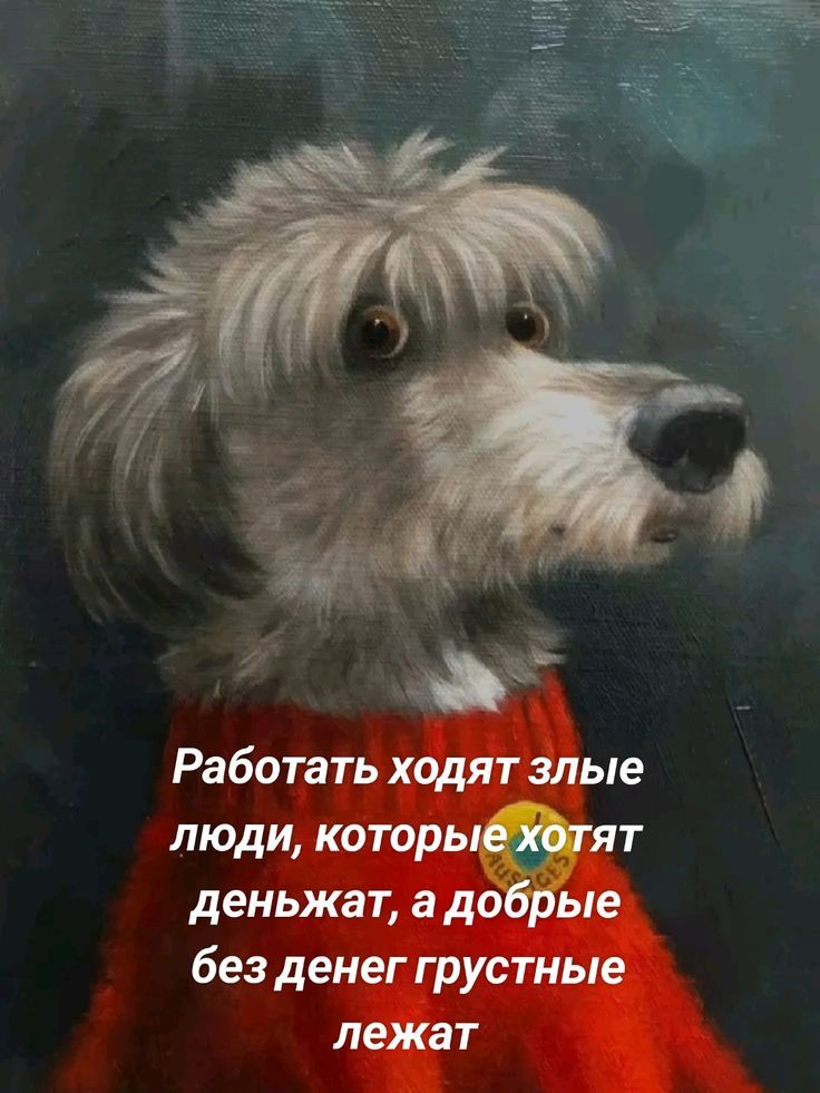 Работать ходят злые люди, которые хотят денег, а добрые без денег грустные лежат.