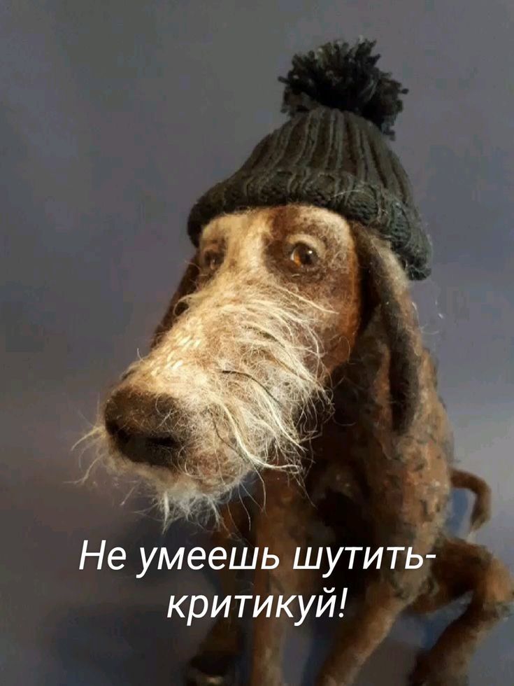 Не умеешь шутить - критикуй!