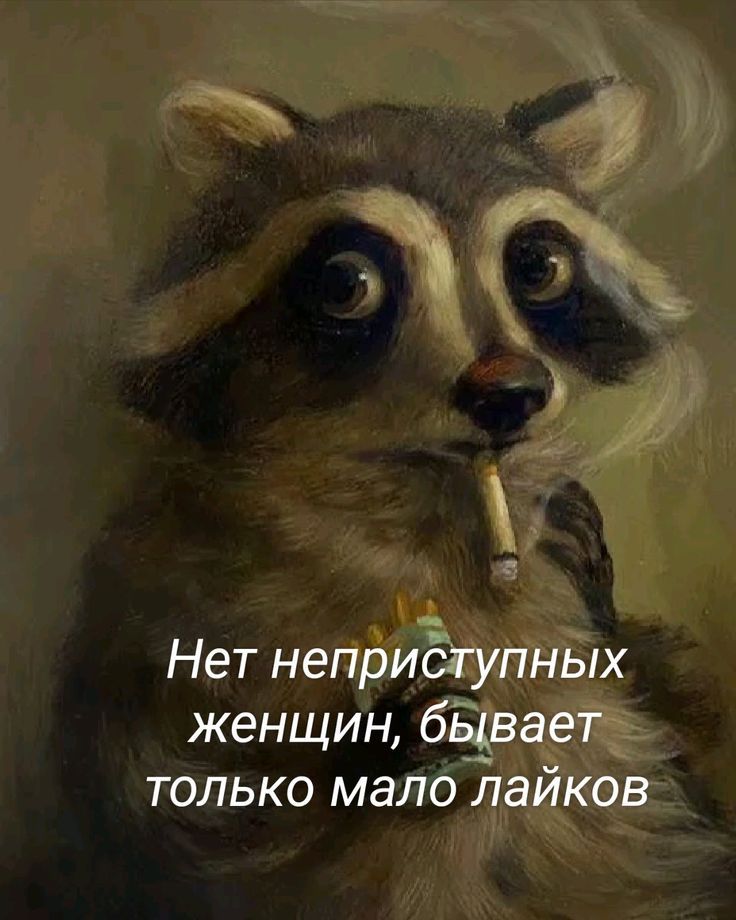 Нет неприступных женщин, бывает только мало лайков