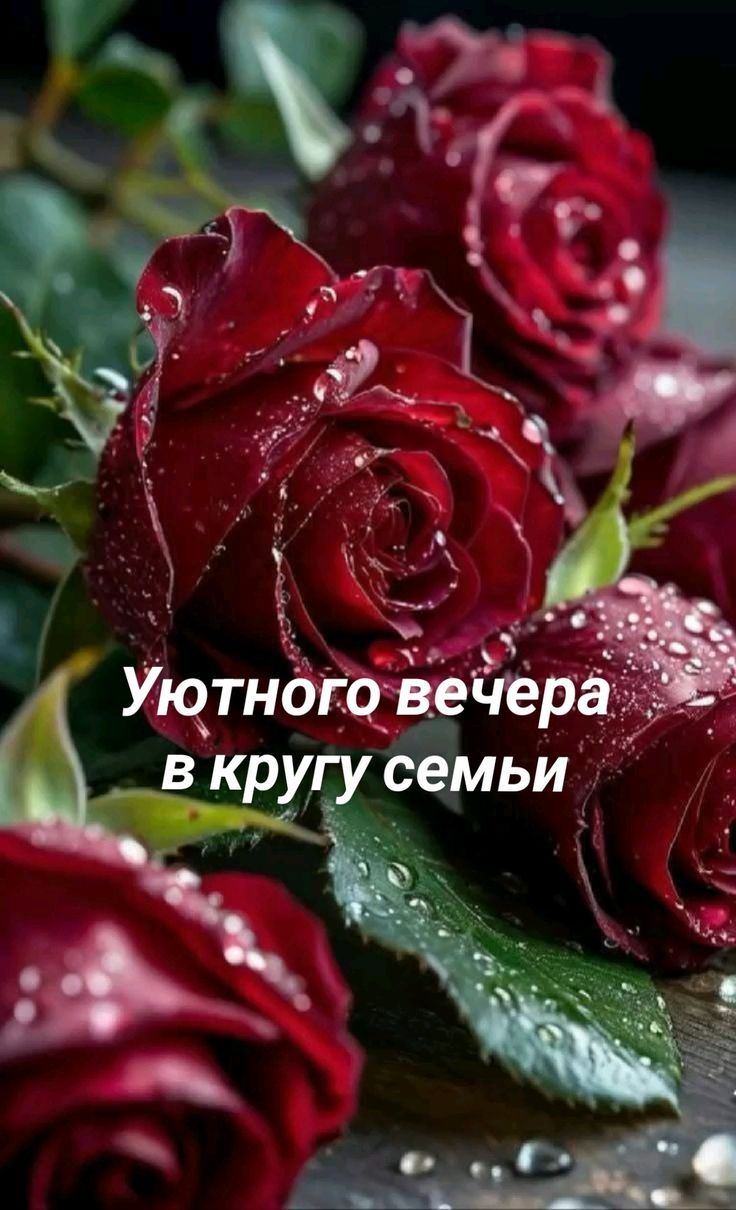 Уютного вечера в кругу семьи