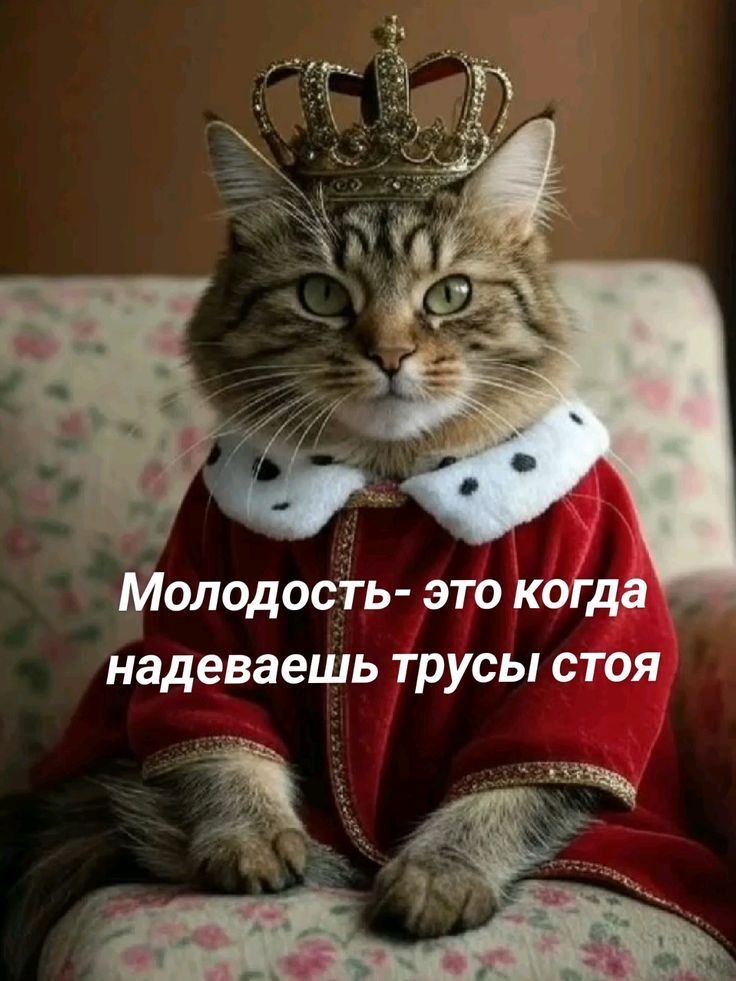 Молодость- это когда надеваешь трусы стоя