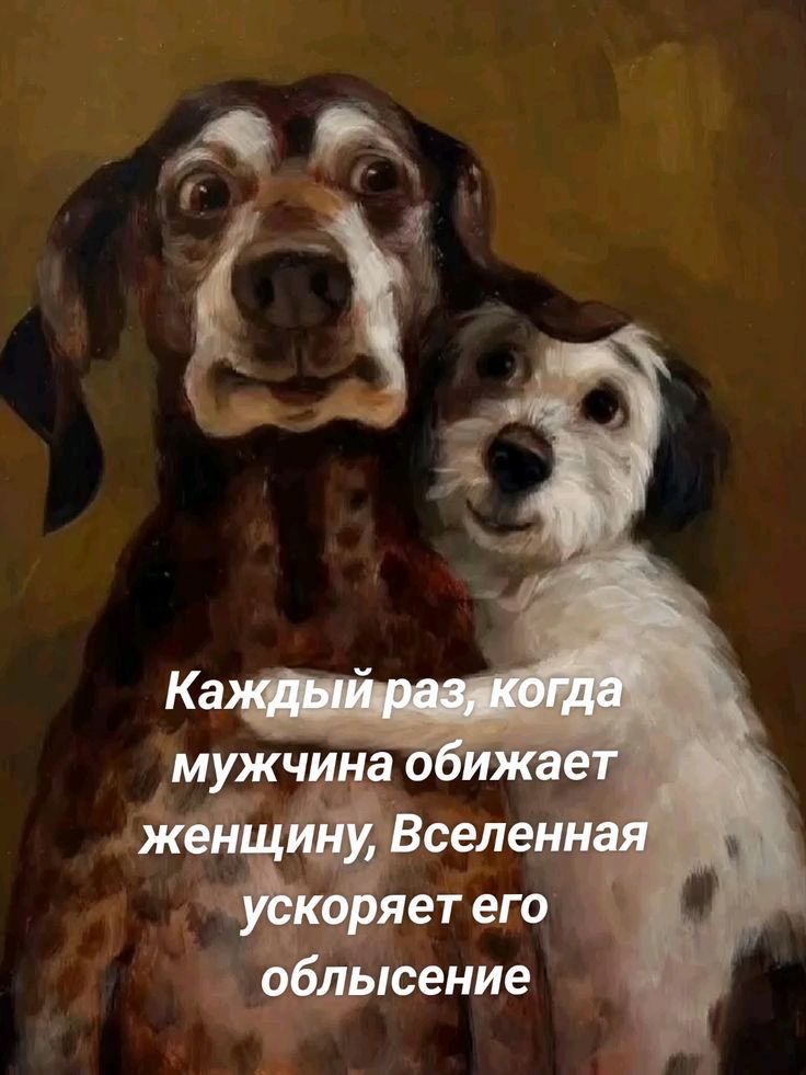Каждый раз, когда мужчина обижает женщину, Вселенная ускоряет его облысение