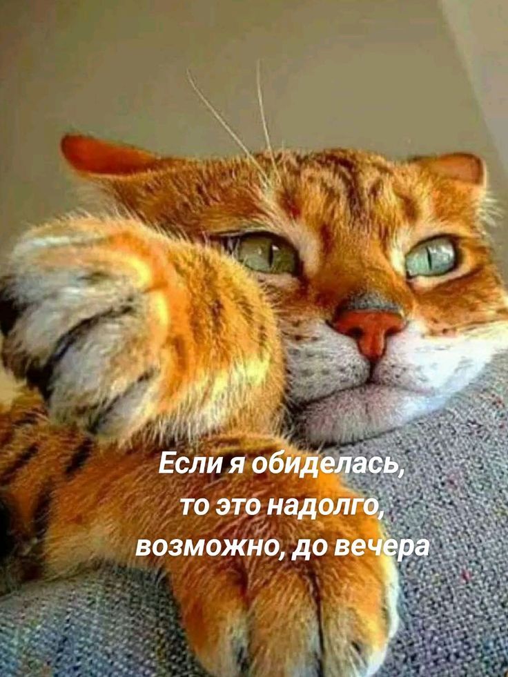 Если я обиделась, то это надолго, возможно, до вечера