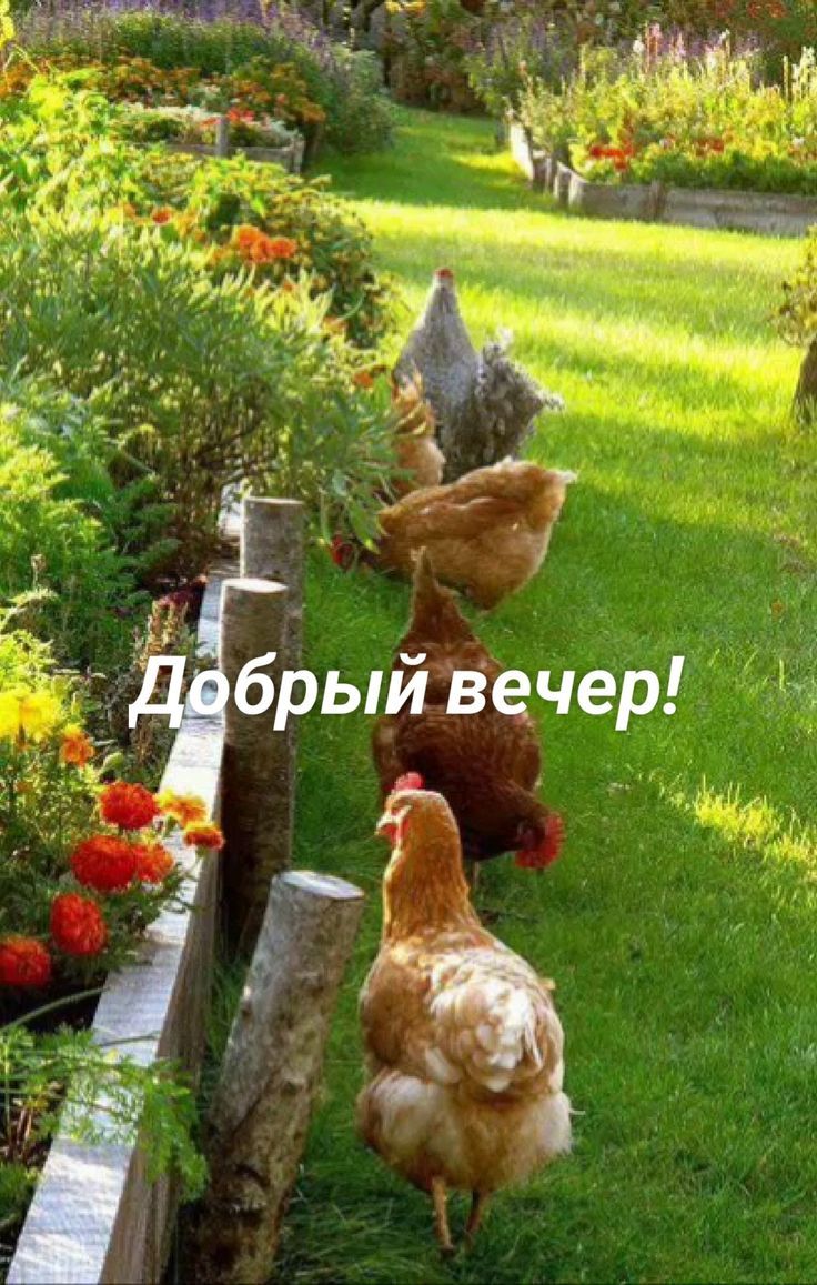 Добрый вечер!