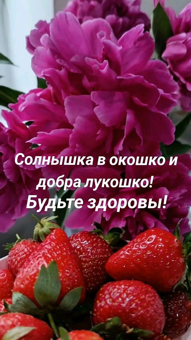 Солнышка в окошко и добра лукошко! Будьте здоровы!