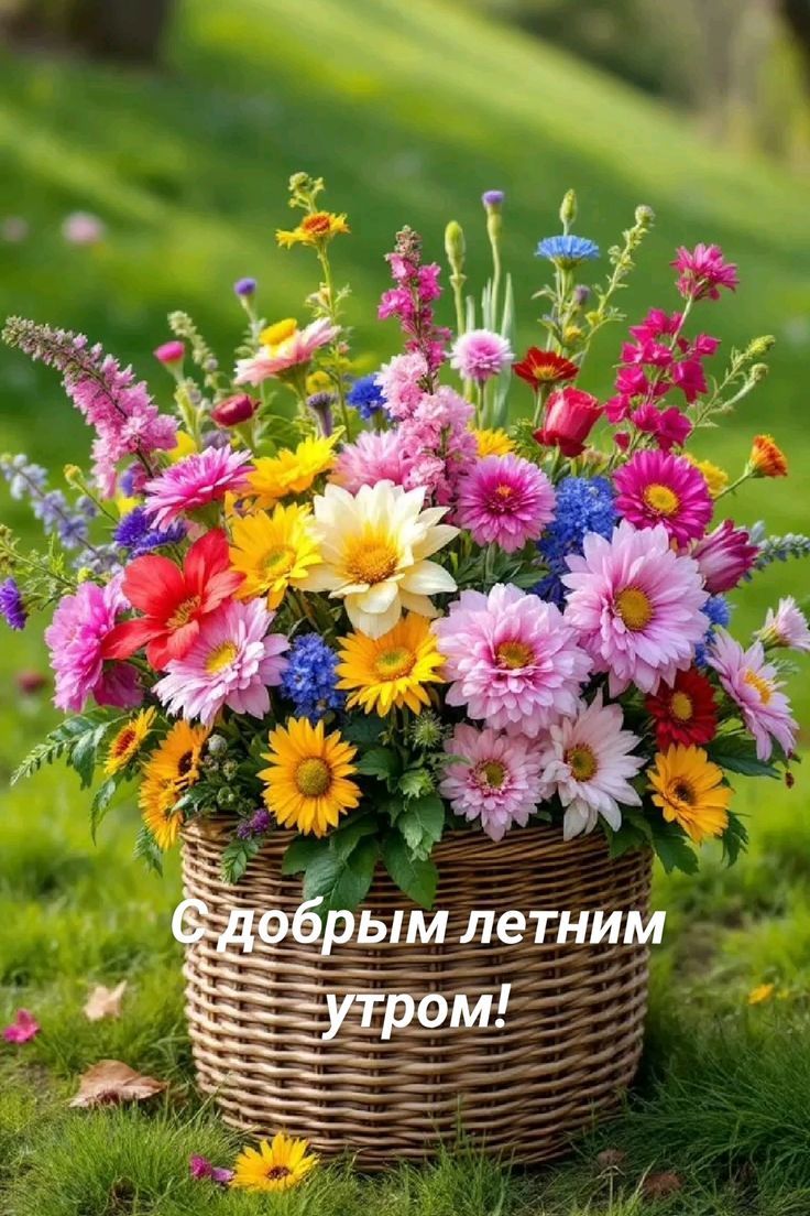 С добрым летним утром!