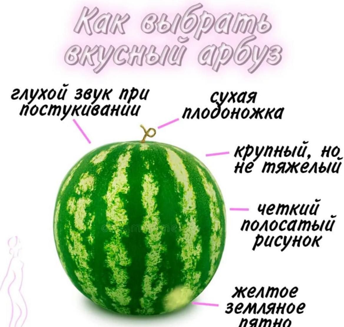 Как выбрать вкусный арбуз
глухой звук при постукивании
сухая плодоножка
крупный, но не тяжёлый
чёткий полосатый рисунок
жёлтое земляное пятно