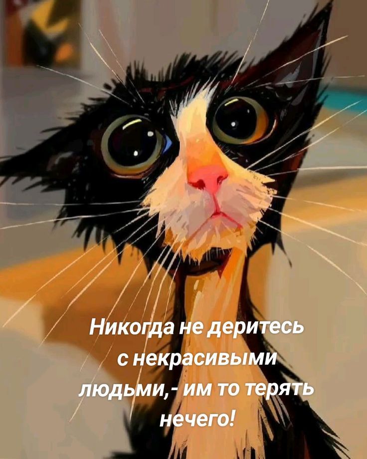 Никогда не деритесь с некрасивыми людьми,- им то терять нечего!