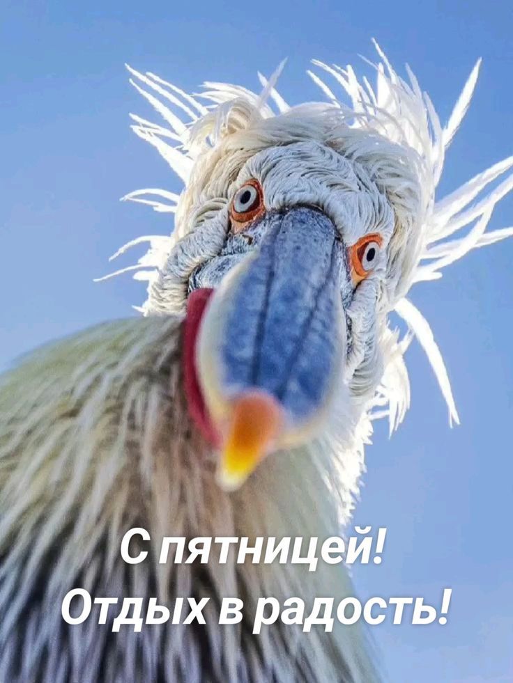 С пятницы! Отдых в радость!